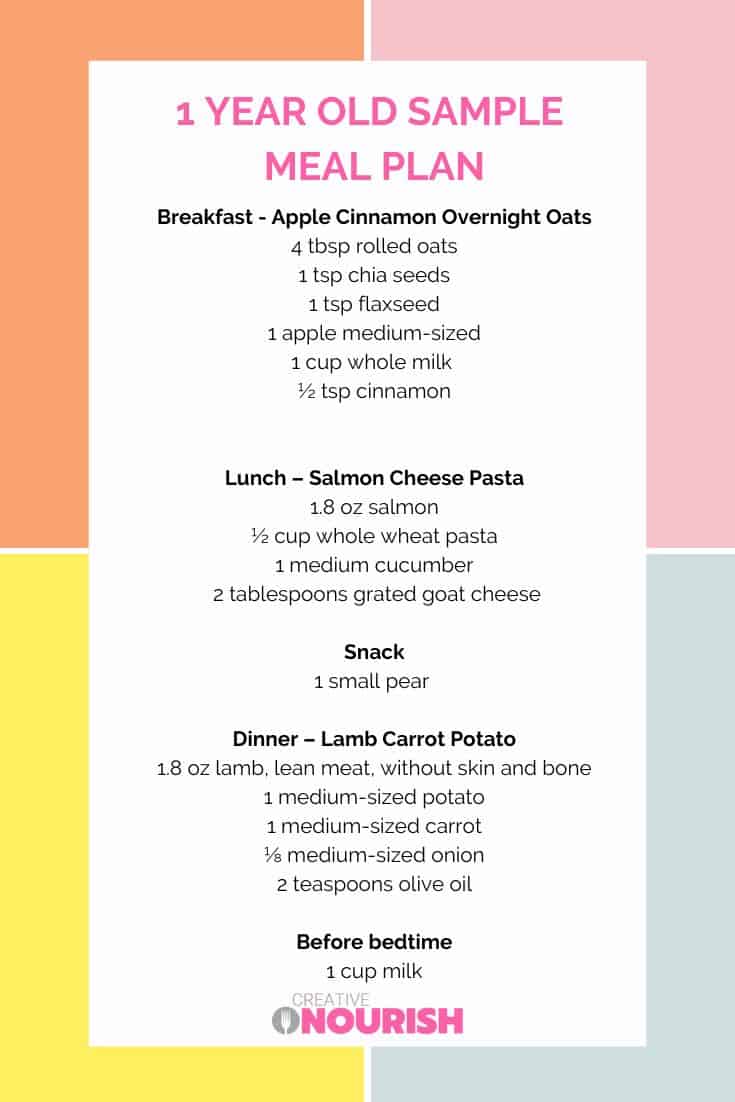meal plan for 1 year old indian baby
