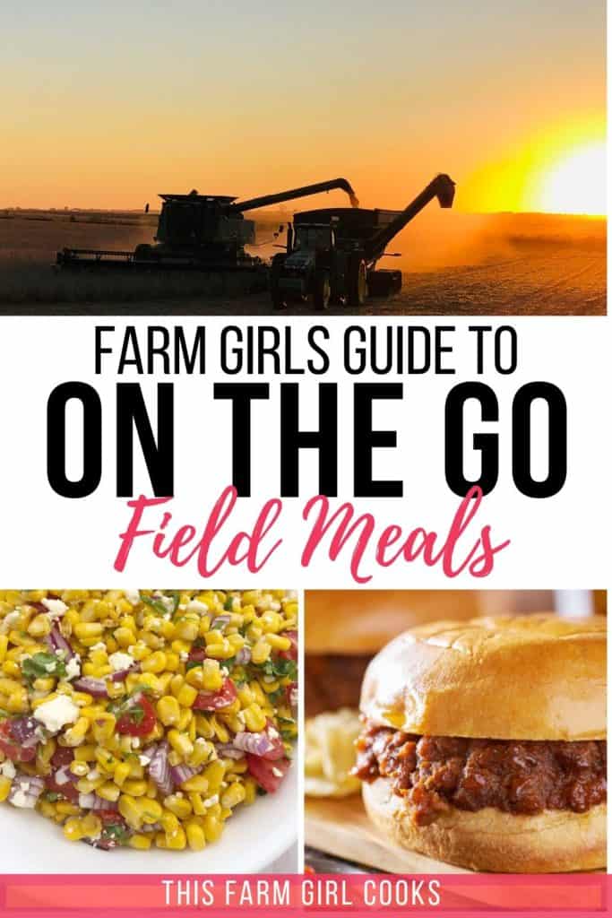 quick meals on the go