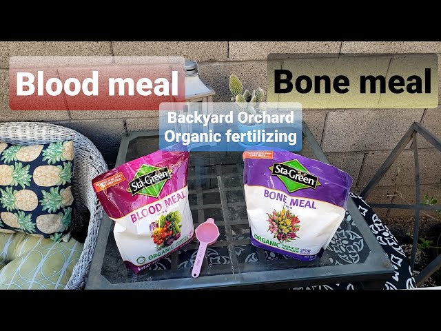 can you use bone meal and blood meal together