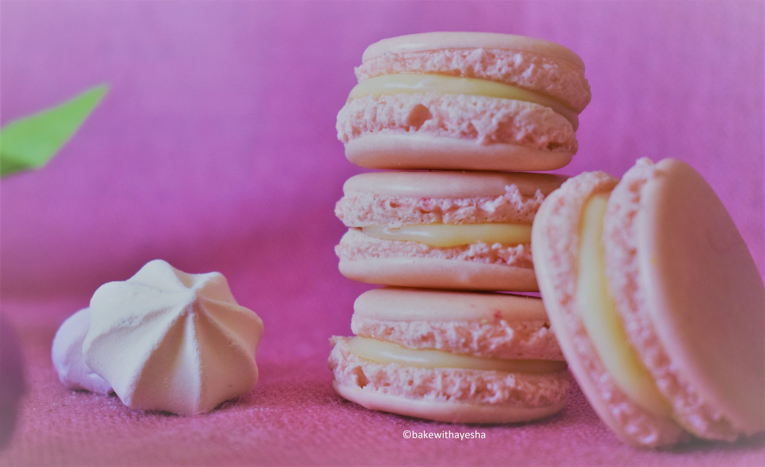 substitute for almond meal in macarons
