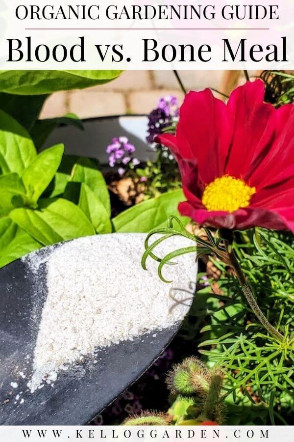 can you use bone meal and blood meal together