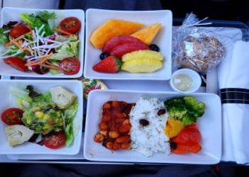 vegetarian lacto ovo meal singapore airlines