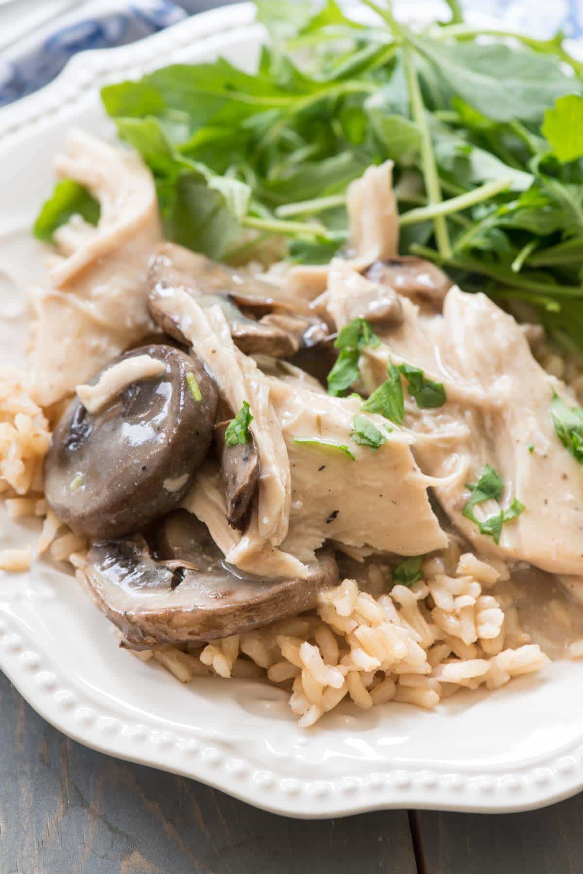 slow cooker chicken and cream of mushroom soup recipes