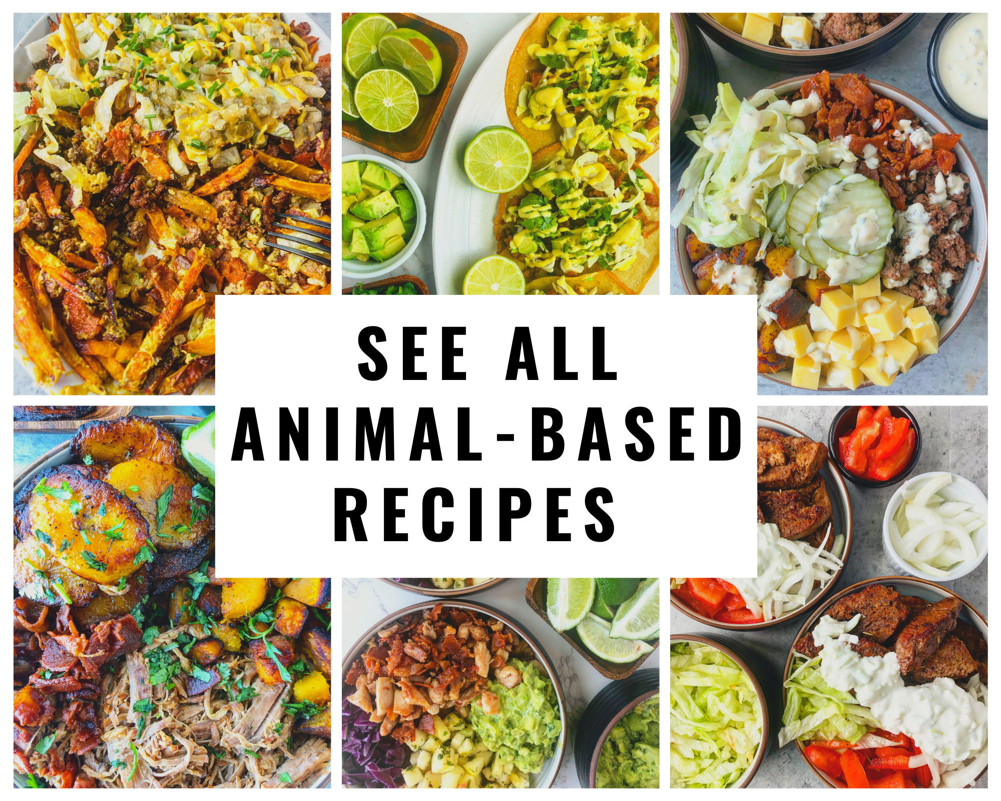 animal-based diet meal plan