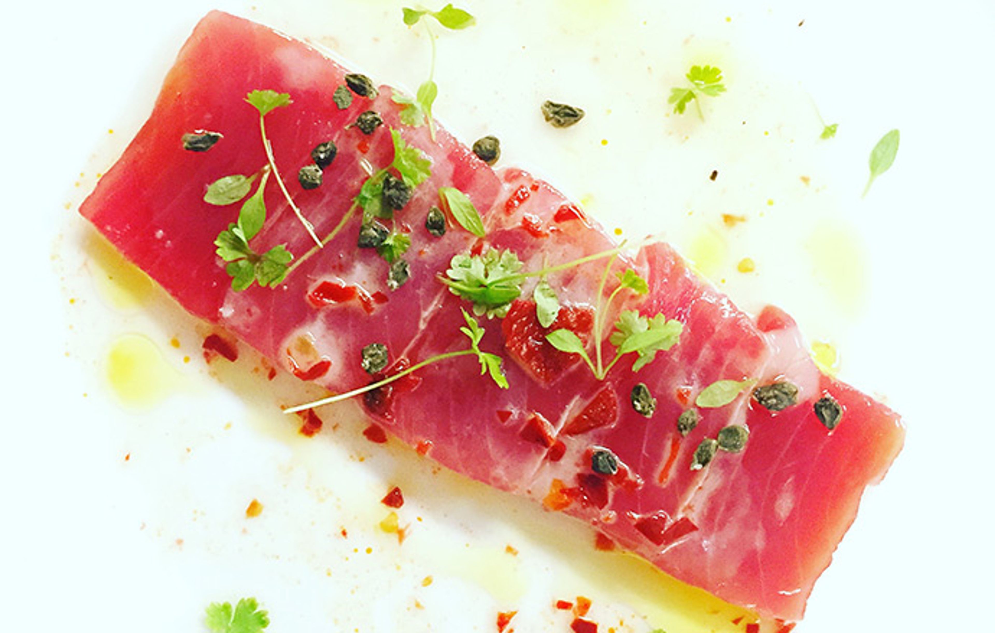 tuna crudo recipe