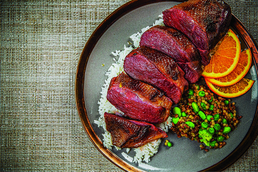 canadian goose recipes