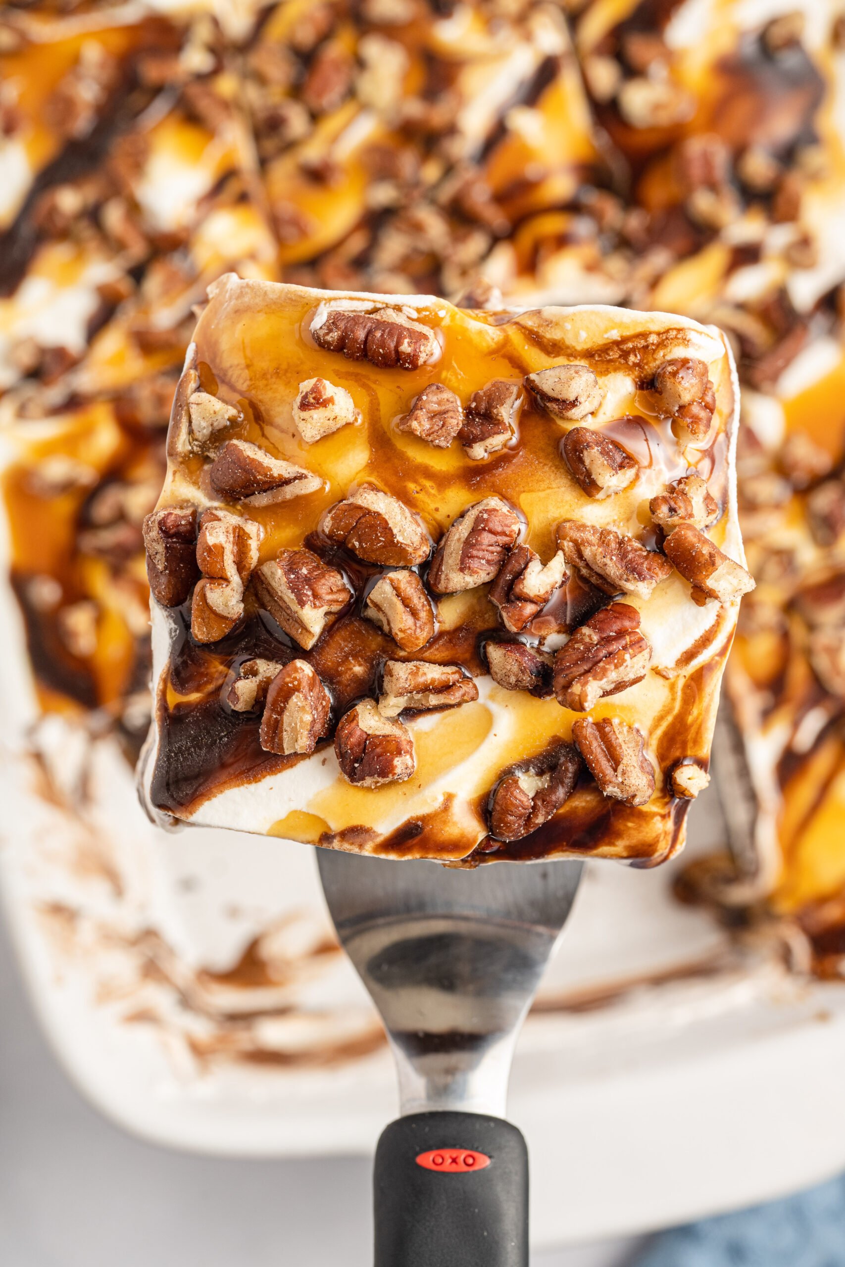 turtle lush recipe
