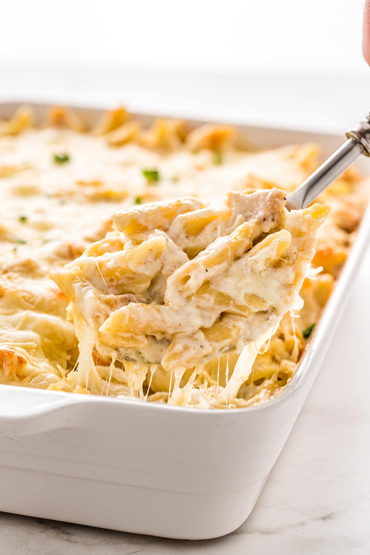 chicken fettuccine alfredo freezer meal