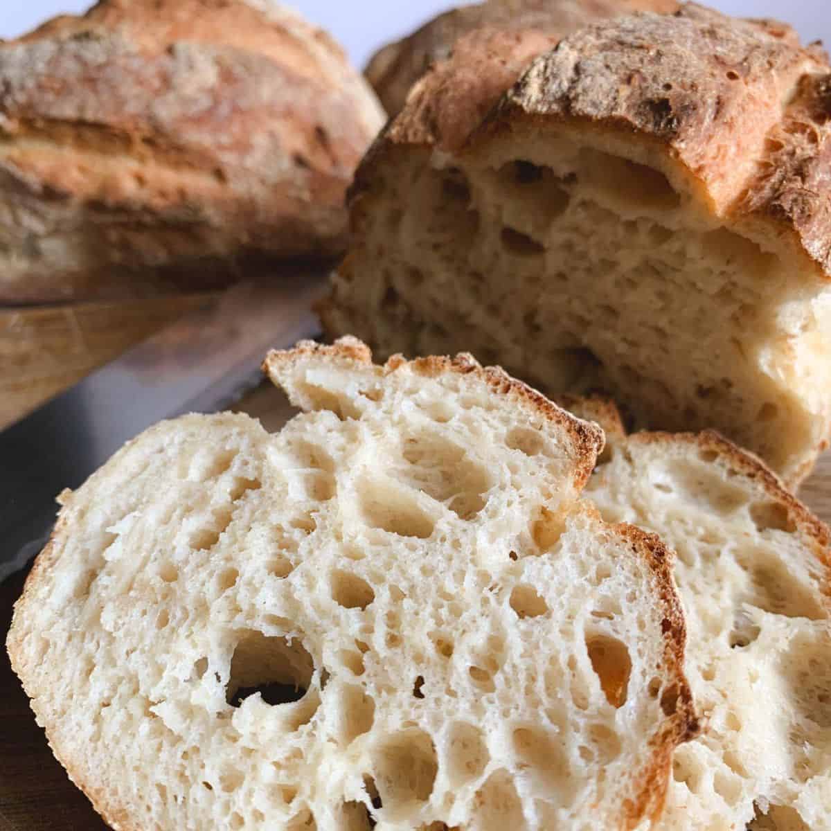 gluten free sourdough recipe