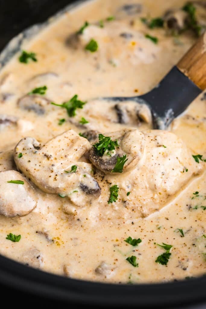 slow cooker chicken and cream of mushroom soup recipes