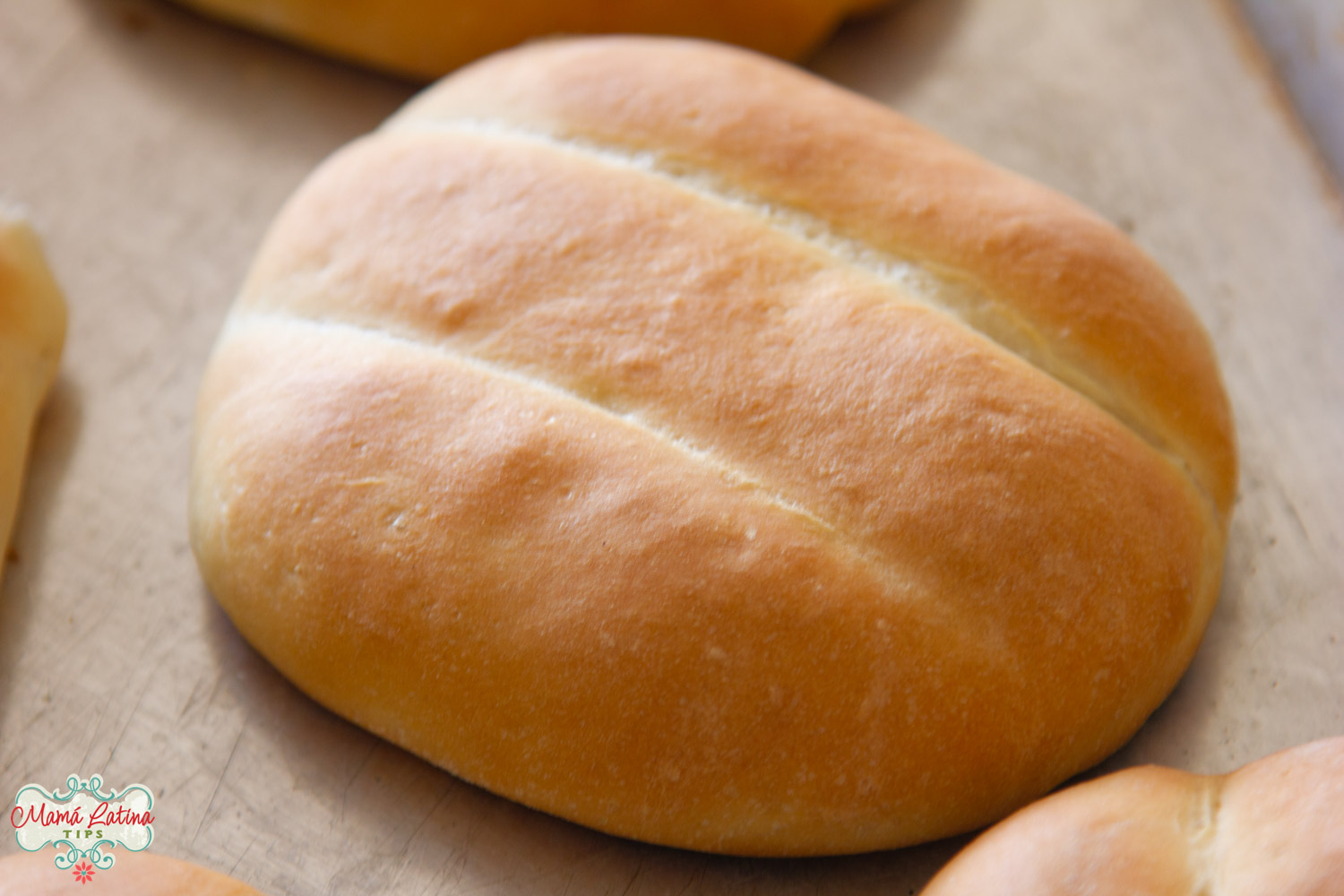 torta bread recipe