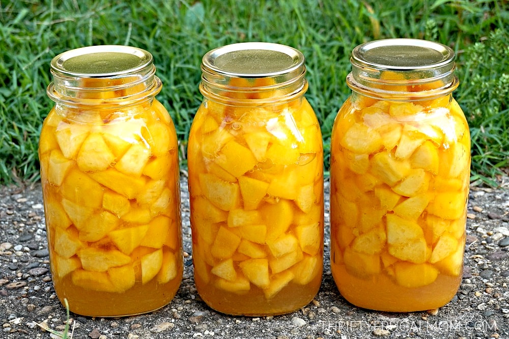 recipes to can peaches