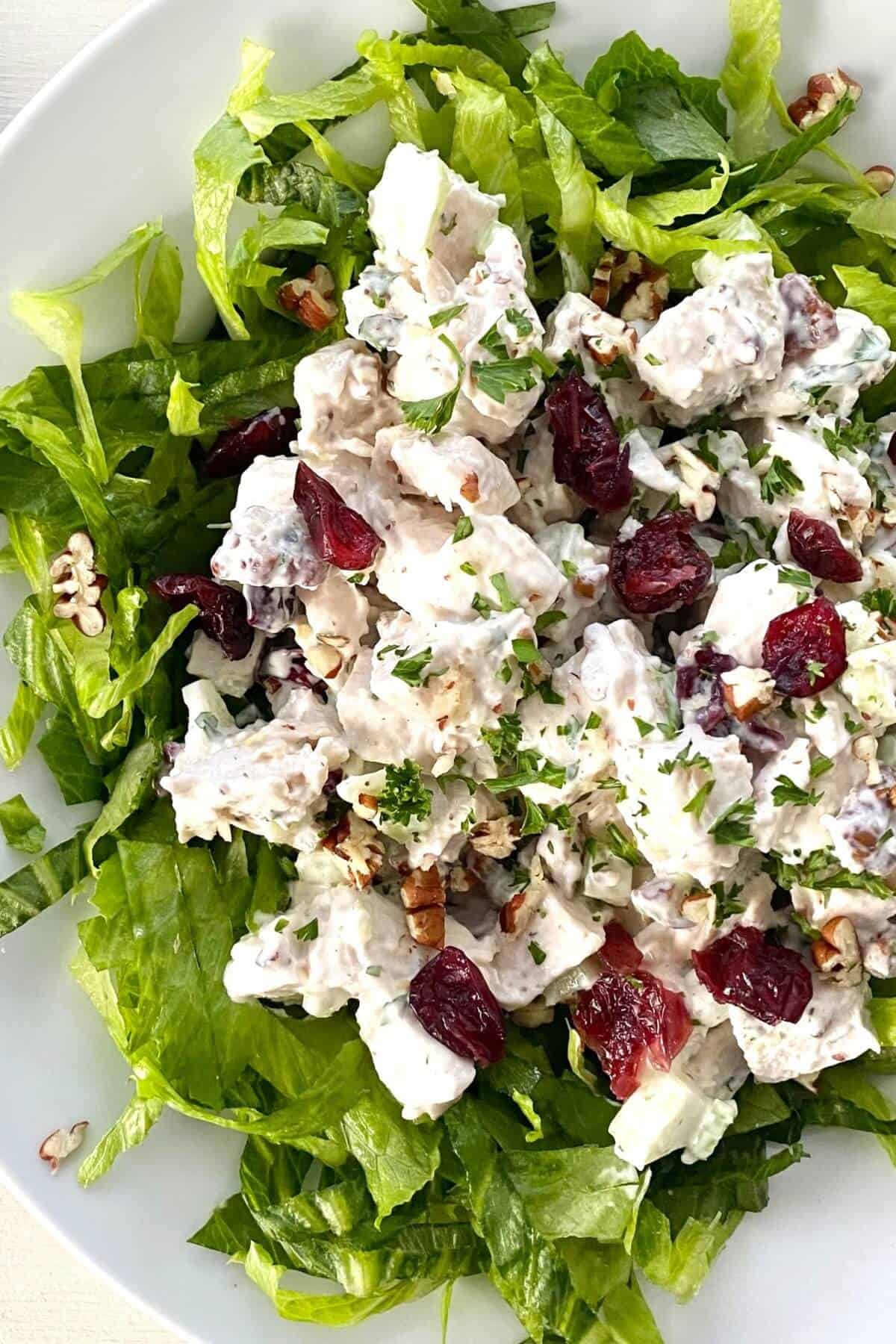 chicken salad recipe with cranberries and pecans