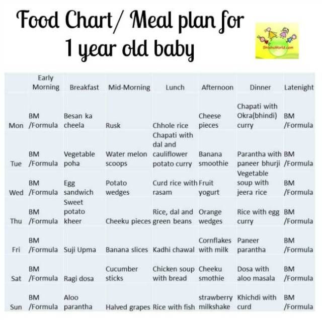 meal plan for 1 year old indian baby