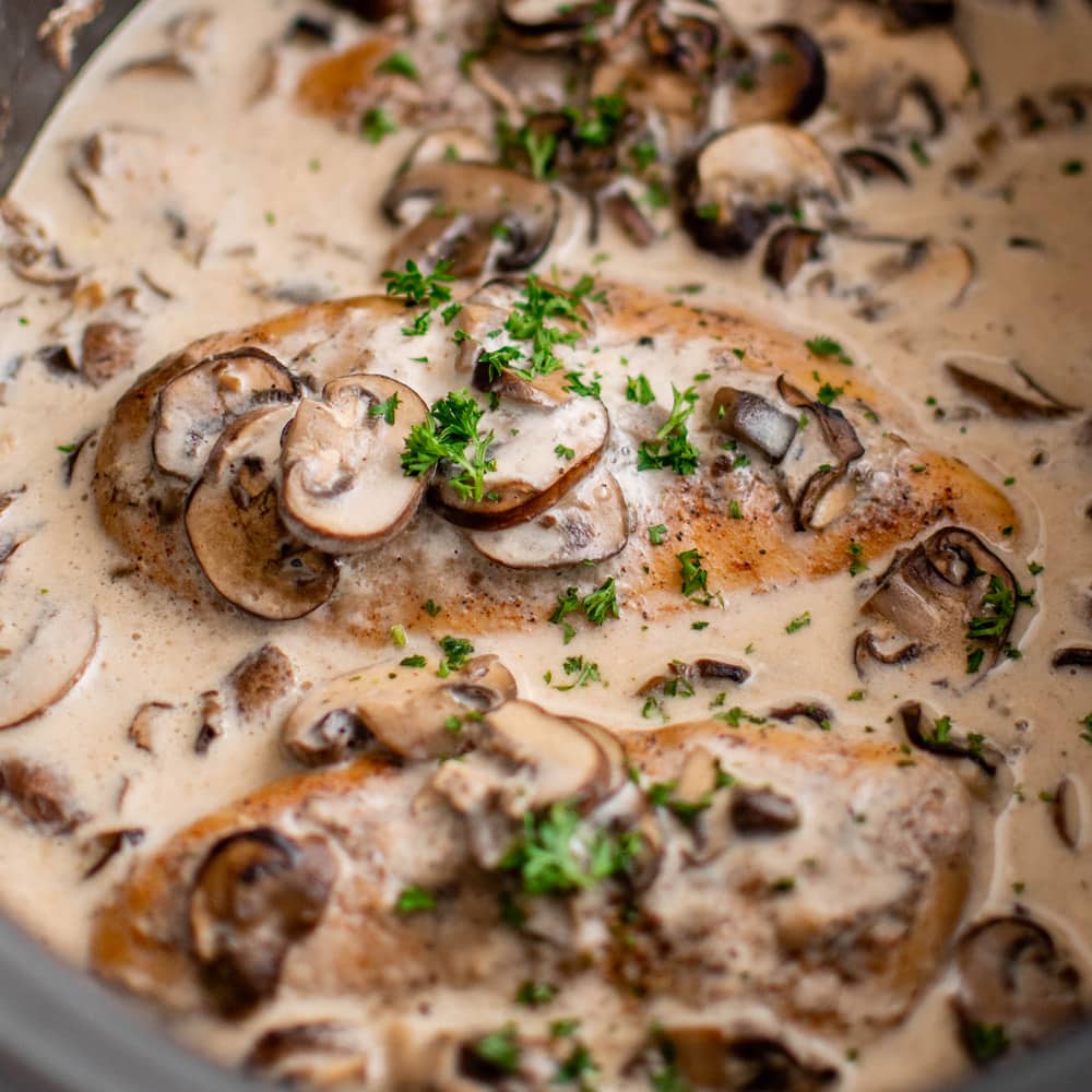 slow cooker chicken and cream of mushroom soup recipes