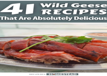 canadian goose recipes