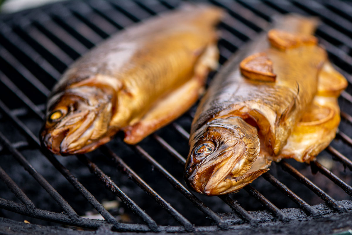 brine recipe for smoked trout