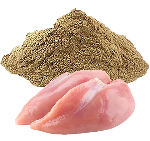 what is chicken meal in dry dog food