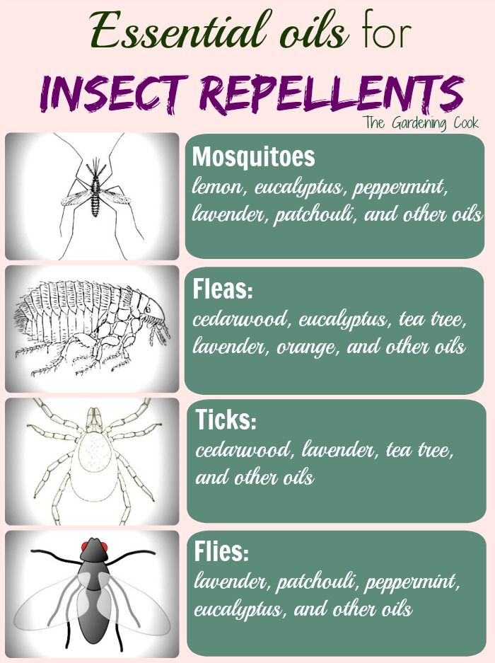 recipe mosquito repellent essential oils