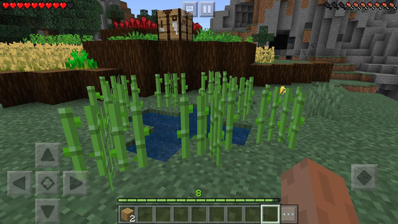can you use bone meal on sugarcane