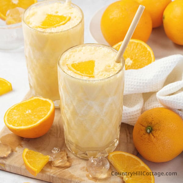 orange julius recipe without concentrate
