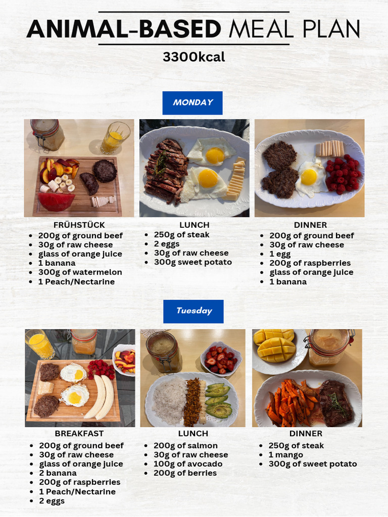 animal-based diet meal plan