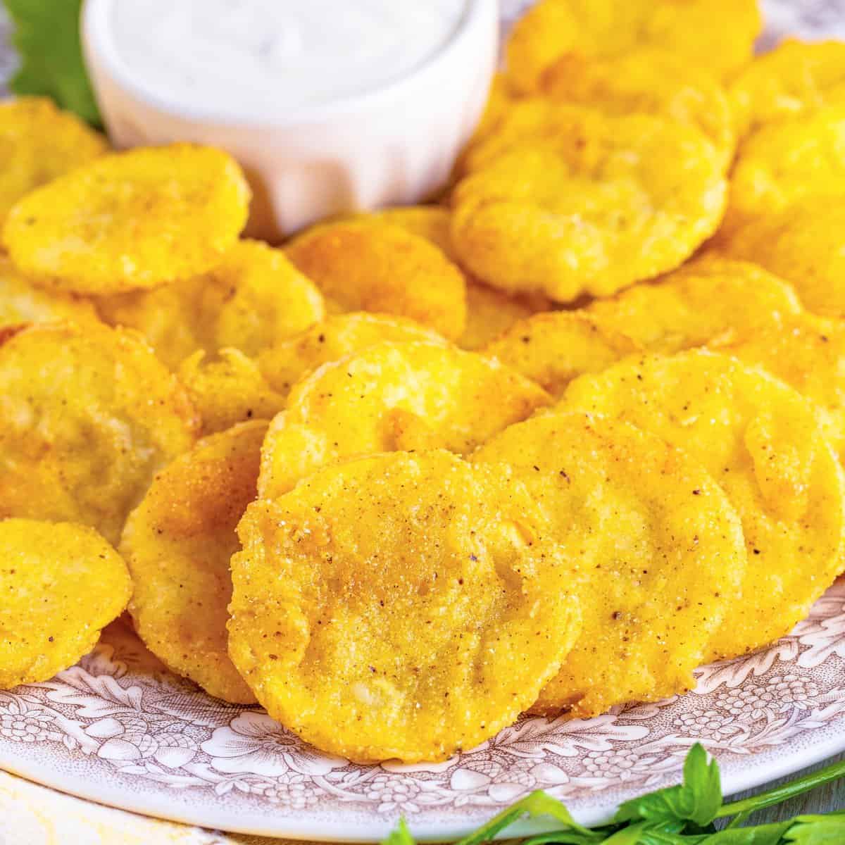 squash recipes fried