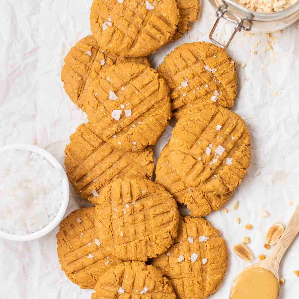 powdered peanut butter recipes