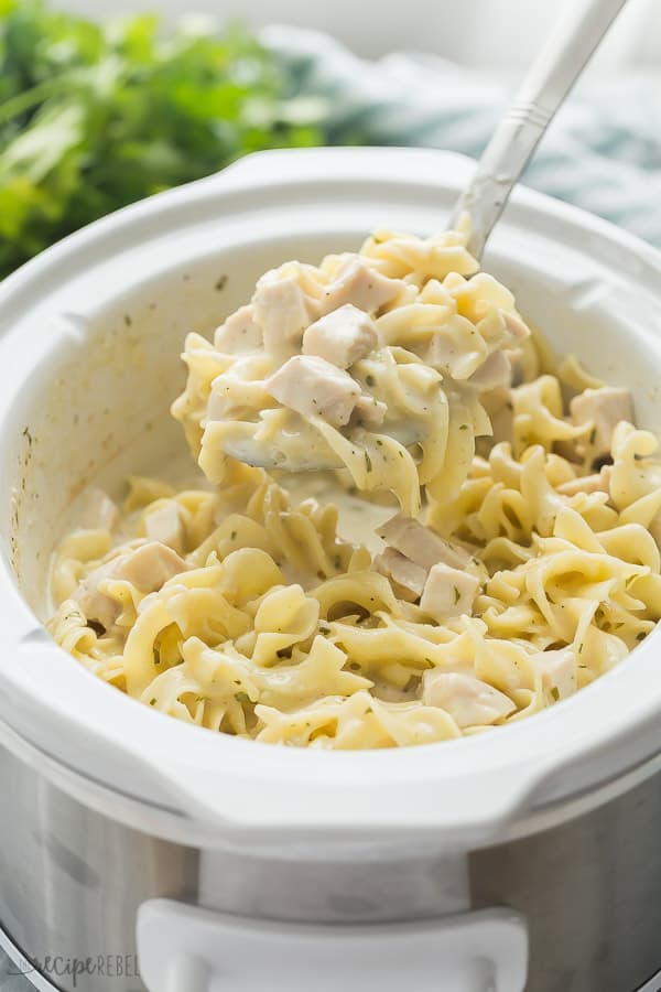 slow cooker chicken and noodles recipe