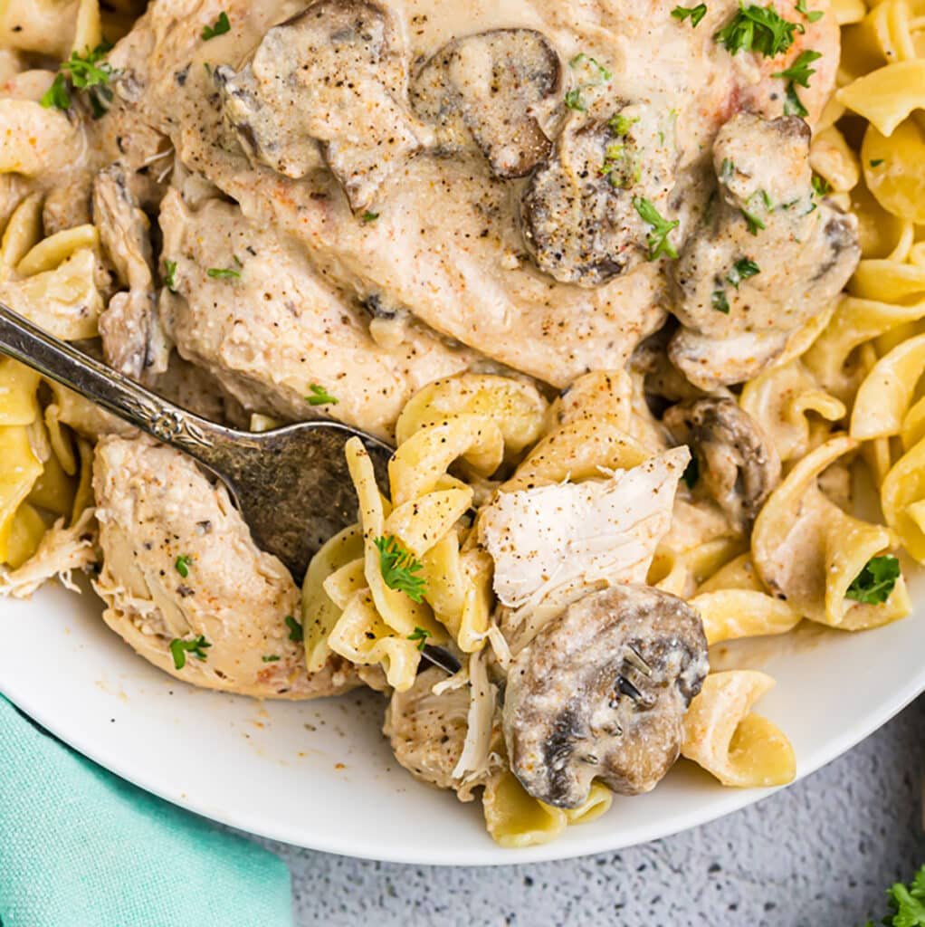 slow cooker chicken and cream of mushroom soup recipes