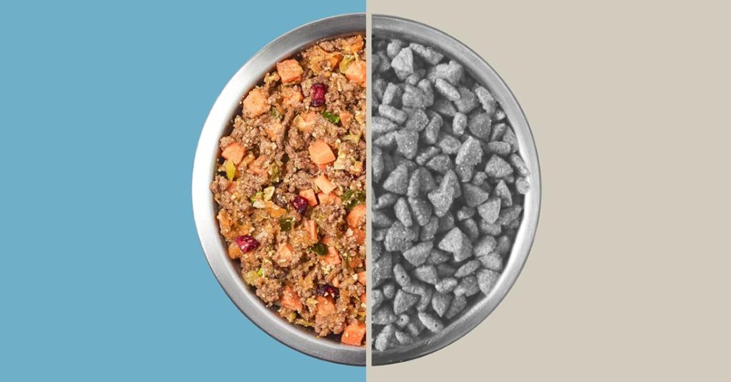what is chicken meal in dry dog food