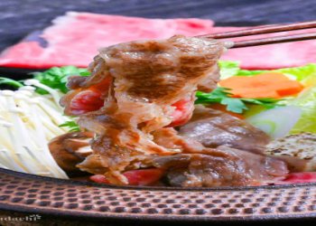 recipes using thin sliced beef