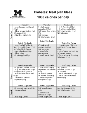 sample diabetic meal plan pdf