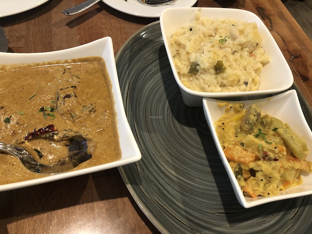 woodlands restaurant pure vegetarian indian cuisine gaithersburg reviews