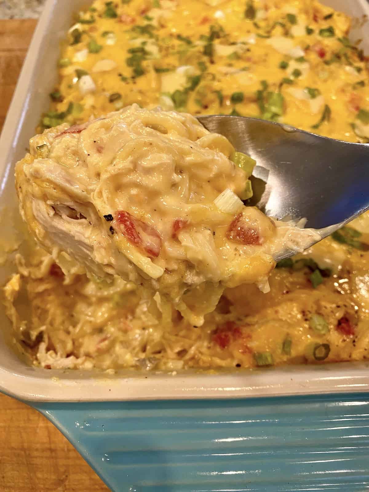 velveeta chicken recipes