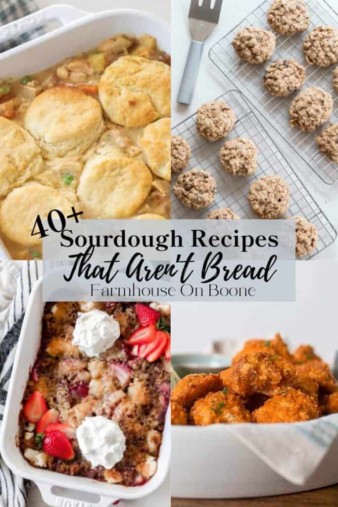 sourdough recipe not bread