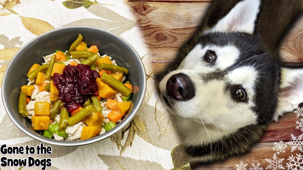 thanksgiving meals for dogs