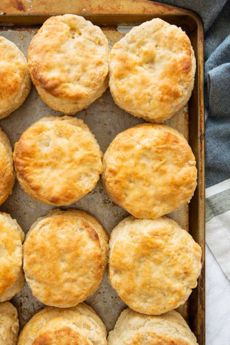 recipes for biscuits without butter