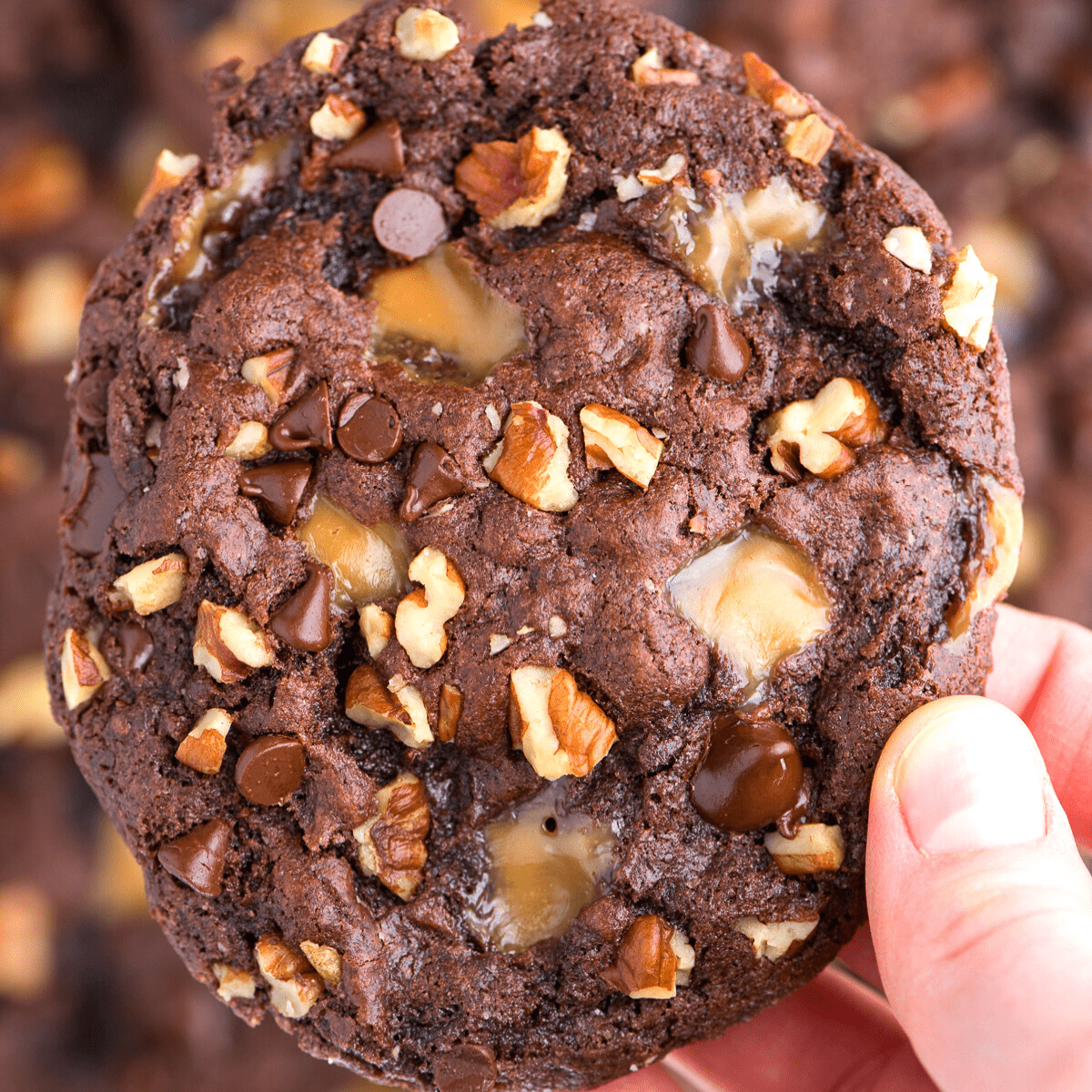 turtle cookie recipe