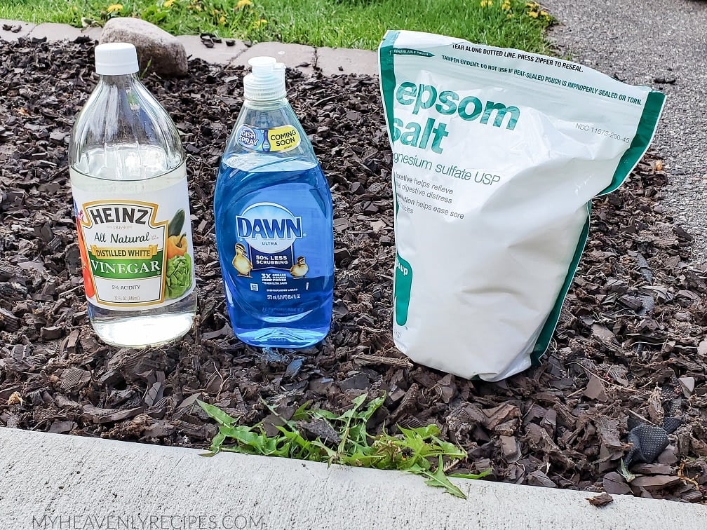 vinegar dawn killer recipe