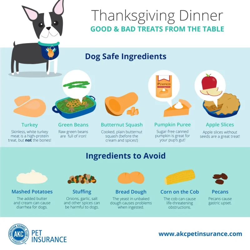 thanksgiving meals for dogs