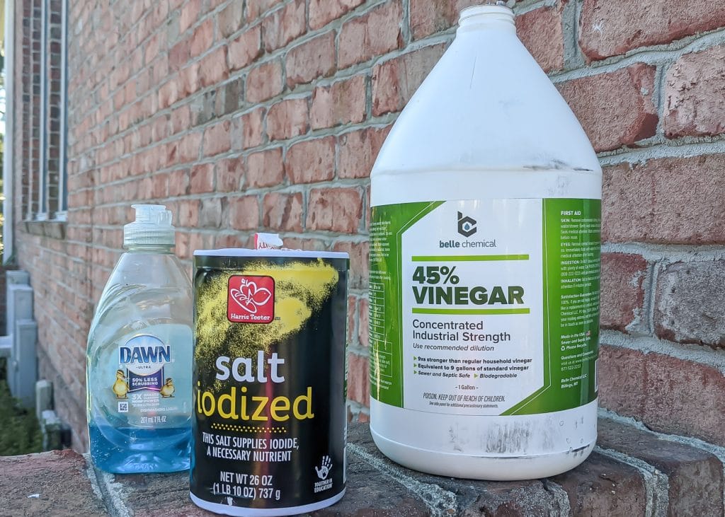 vinegar dawn killer recipe