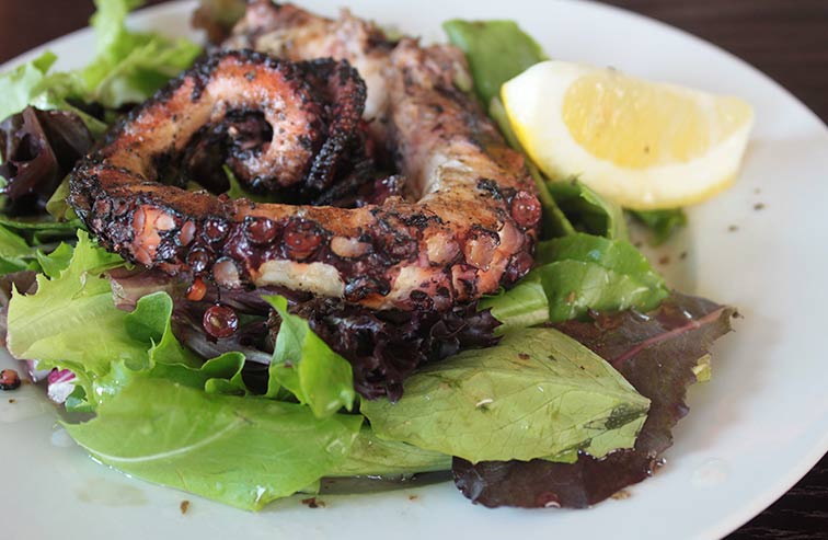 hellenic cuisine mechanicsburg pa