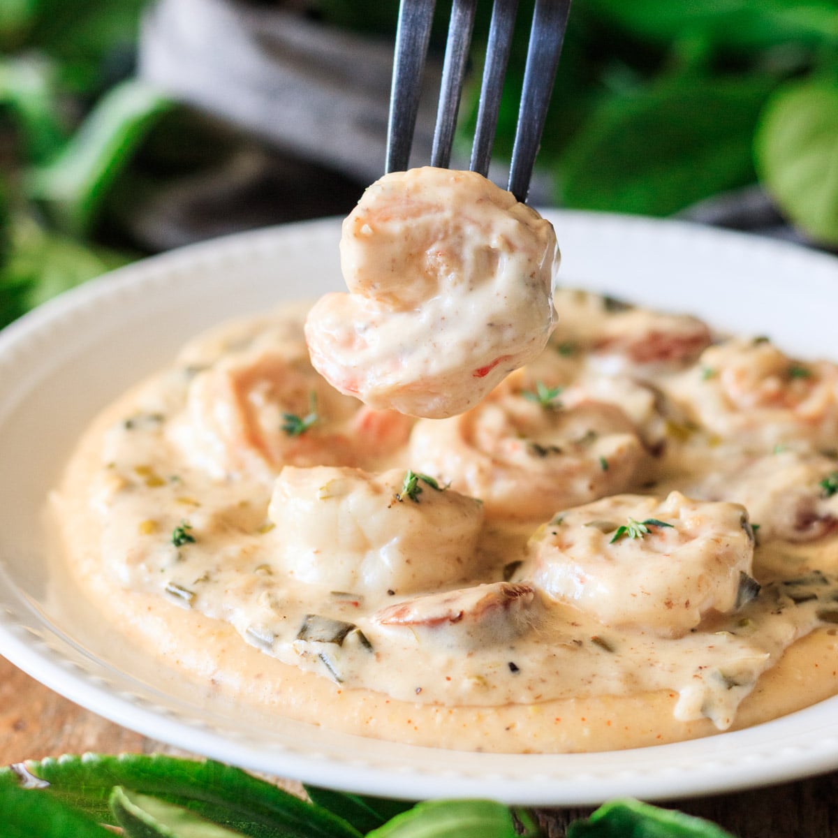 creamy shrimp and grits recipe