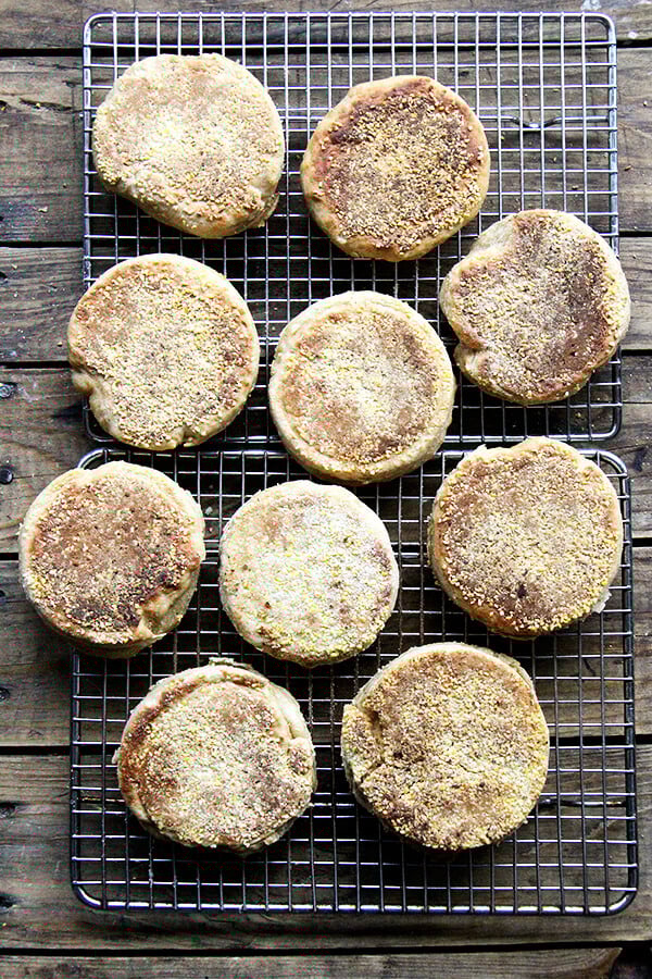 whole wheat english muffin recipe