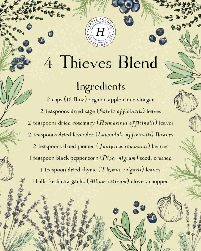 recipe for thieves oil
