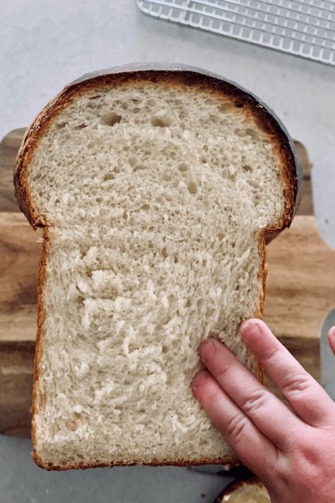 sourdough discard sandwich bread recipe