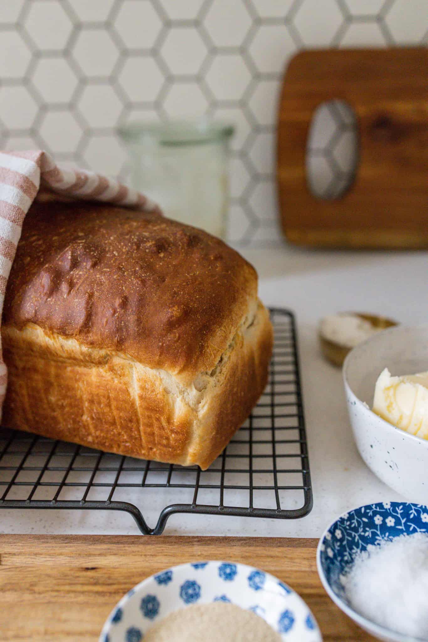 sourdough discard sandwich bread recipe
