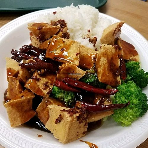 sun tong luck asian cuisine columbus oh