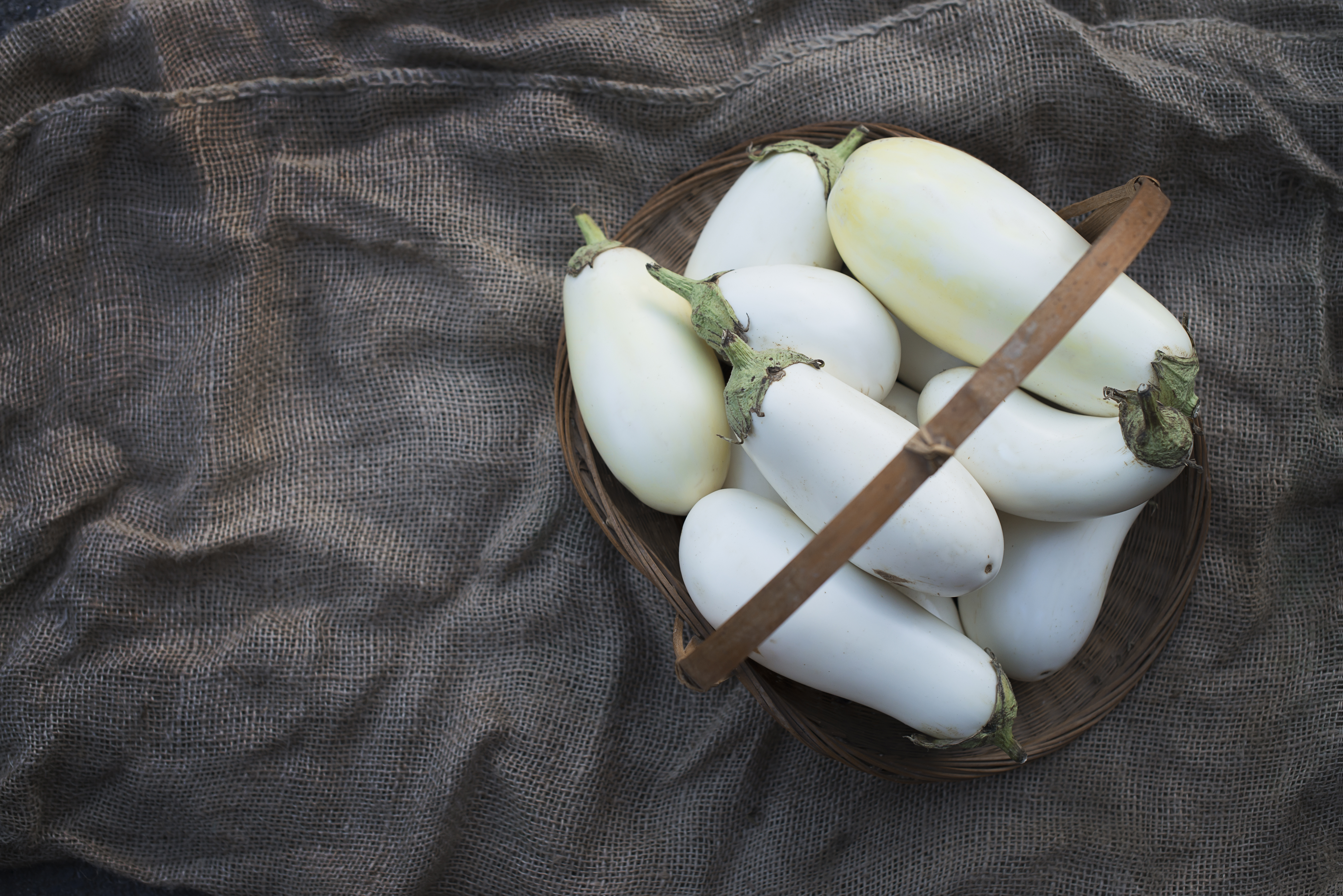white eggplant recipe
